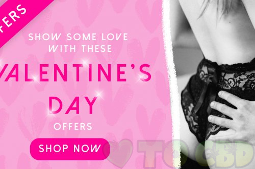 Sexy Valentine's Day Lingerie Sets 2021