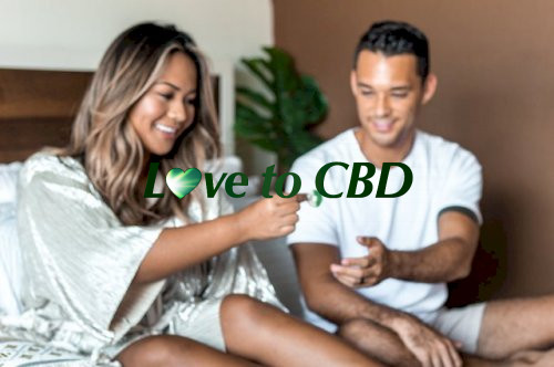 A Guide to Buying CBD Products