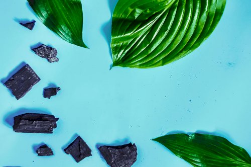 Why CBD Charcoal Skin Care Products are the Next Big Thing in Beauty