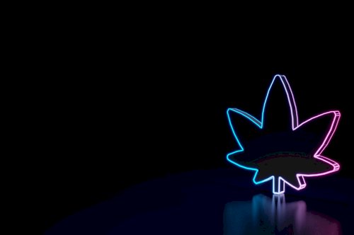 4 Big Predictions for Cannabis in 2020