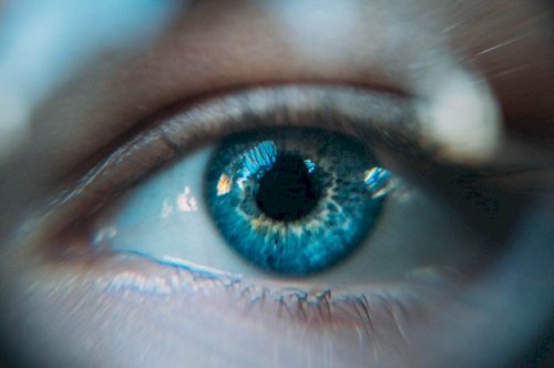 DOES CBD HELP IMPROVE EYE CONDITIONS AND VISION PROBLEMS?