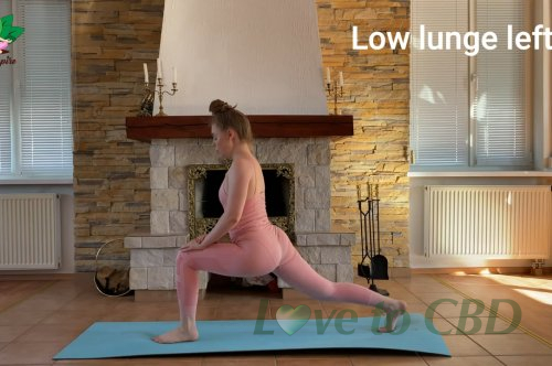Yoga for Beginners – 30 Minute Home Yoga Workout Exercises Video