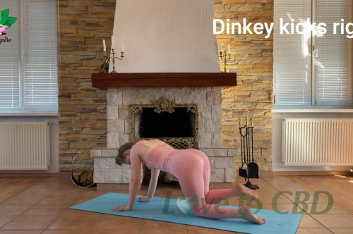 Best Butt Workouts – Video Exercises for a Bigger Butt – Simple Bum Workouts