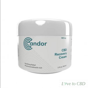 CANDOR CBD - CBD TOPICAL - RECOVERY CREAM - 500MG