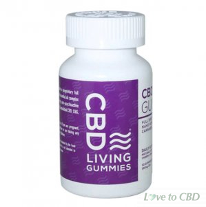 CBD LIVING - CBD EDIBLE - LIVING GUMMIES 30 COUNT - 300MG