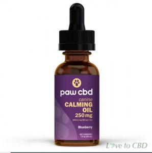 CBDMD - CBD PET TINCTURE - BLUEBERRY CALMING OIL FOR CANINES - 250MG-500MG