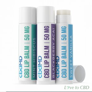 CBDMD - CBD TOPICAL - LIP BALM 3-PACK - 50MG