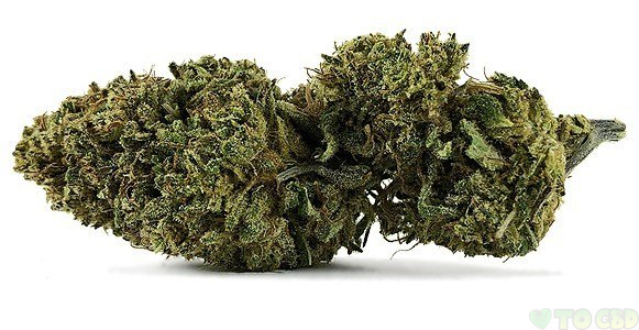 Berkshire Lifter CBD Flower 3.5 Grams 18.75%