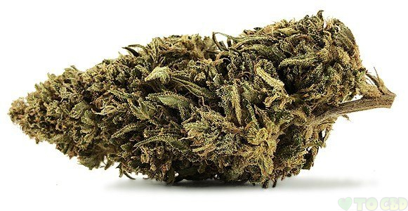 Berkshire Cherry Wine CBD Flower 20% 3.5g