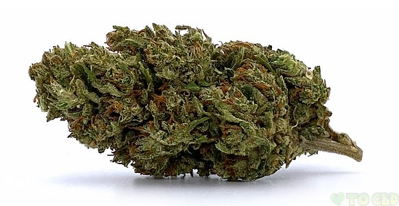 Berkshire Remedy CBD Flower 3.5 Grams 14.38%