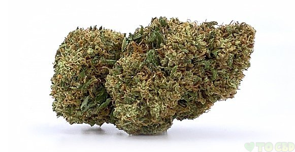Berkshire Bubba Kush CBD Flower 3.5 Grams 13.26%