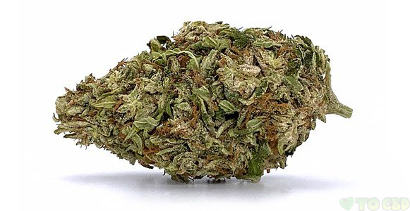 Berkshire CBD Flower 3.5 Grams Premium 15.44?D
