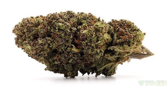 Berkshire Sour Space Candy CBD Flower