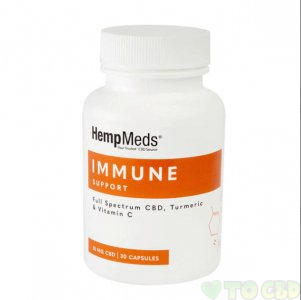 HEMPMEDS - CBD CAPSULES - EVERYDAY WELLNESS IMMUNE SUPPORT - 15MG