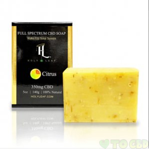 HOLY LEAF - CBD BATH - CITRUS SOAP - 350MG
