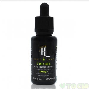 HOLY LEAF - CBD TINCTURE - ORGANIC FULL SPECTRUM COLD PRESSED - 250MG-1200MG