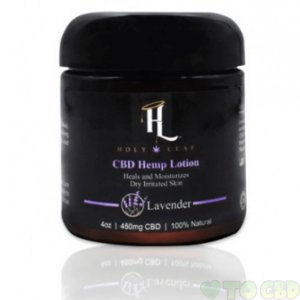 HOLY LEAF - CBD TOPICAL - LAVENDER LOTION