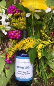 600 mg. CBD Full Spectrum Tincture
