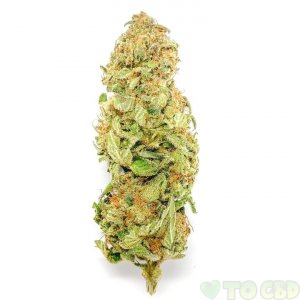 Jupiter OG Indoor Hemp Flower