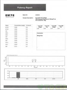 BD Pet Treats for Dogs – Bones