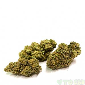 Hemp Delight Hemp Flower - Sour Diesel (HTSOUR)