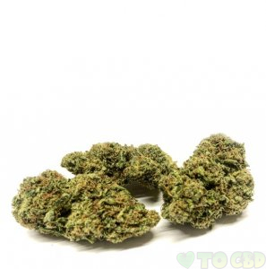 Hemp Delight Hemp Flower (Cuban Smack - Skywalker OG)