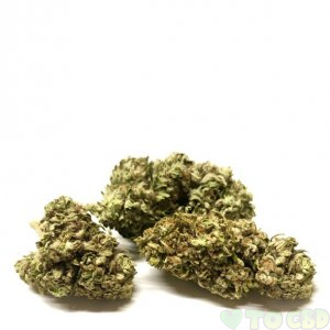 Hemp Delight Hemp Flower - Elektra (Stormi)