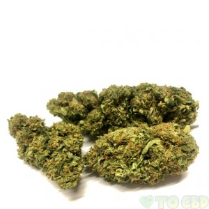 Hemp Delight Hemp Flower - Special Sauce (AJ)