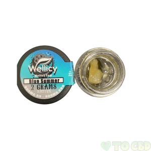 Wellicy Blue Summer Delta-8 Duo Dabs