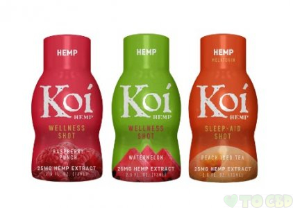 Koi CBD Watermelon Wellness Shot (25MG)