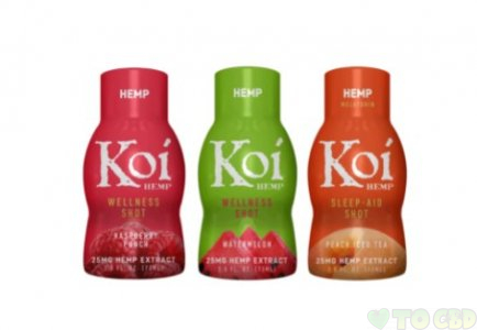 Koi CBD Raspberry Punch Wellness Shot (25MG)