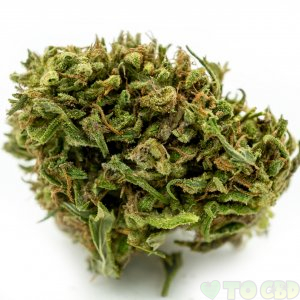 Carolina Hemp Refinery Flower 1 oz bag