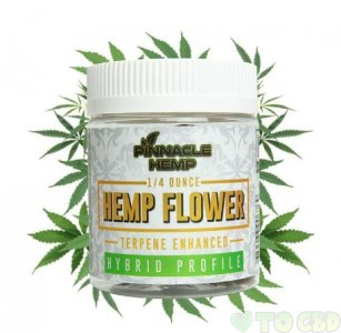 Pinnacle Hemp Headband Terpene Enhanced CBD Flower - Hybrid Enhanced