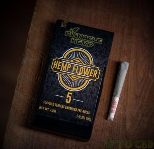 Pinnacle Hemp Green Apple Terpene Enhanced CBD Pre Roll (5 Pack) - Sativa