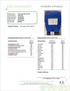 CBD Lip Balm Pumpkin Spice Flavor 25mg