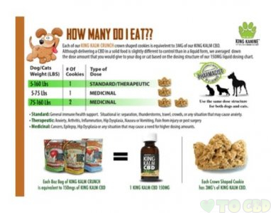 King Kalm Crunch - Apple Cinnamon CBD Dog Treats