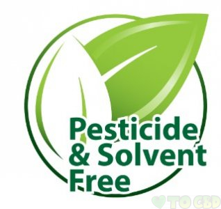 King Kalm Crunch - Honey Oats CBD Dog Treats