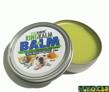 King Kalm Balm - CBD Dog Paw Balm