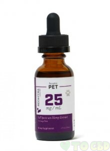 Receptra CBD Pet Tincture