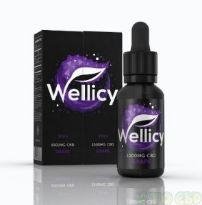 Wellicy Grape CBD Oil