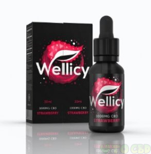 Wellicy Strawberry CBD Oil