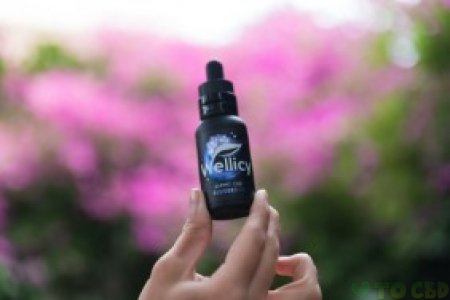 Wellicy Blueberry CBD Oil