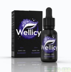 Wellicy Blueberry CBD Oil