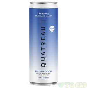 Quatreau CBD Infused Sparkling Water – Blueberry+Acai 20mg 12oz