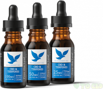 FREE THE LEAF CBD & BLUEBERRY OG TERPENES TINCTURE