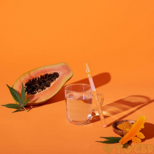 HOLISTIK Wellness Digest Stik 30 Pack