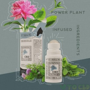 Pachamama CBD Icy Muscle Gel (500MG)