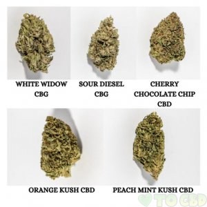 5 Pack Raw Hemp Flower Bundle