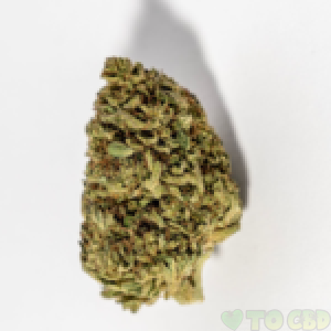 Orange Kush CBD Flower 3.5G