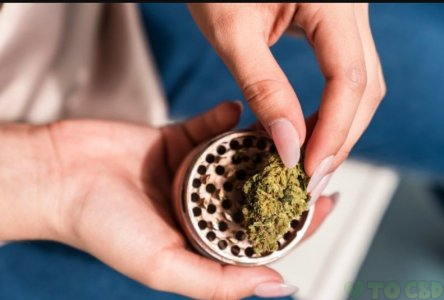 Space Force CBD Flower – 3.5G